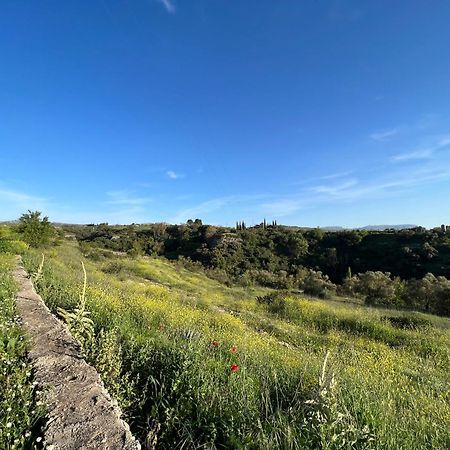 Villa Ignacia B&B - Naturaleza Entre Ronda Y Setenil Ариате Екстериор снимка