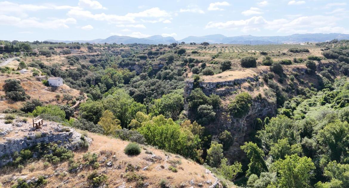 Villa Ignacia B&B - Naturaleza Entre Ronda Y Setenil Ариате Екстериор снимка