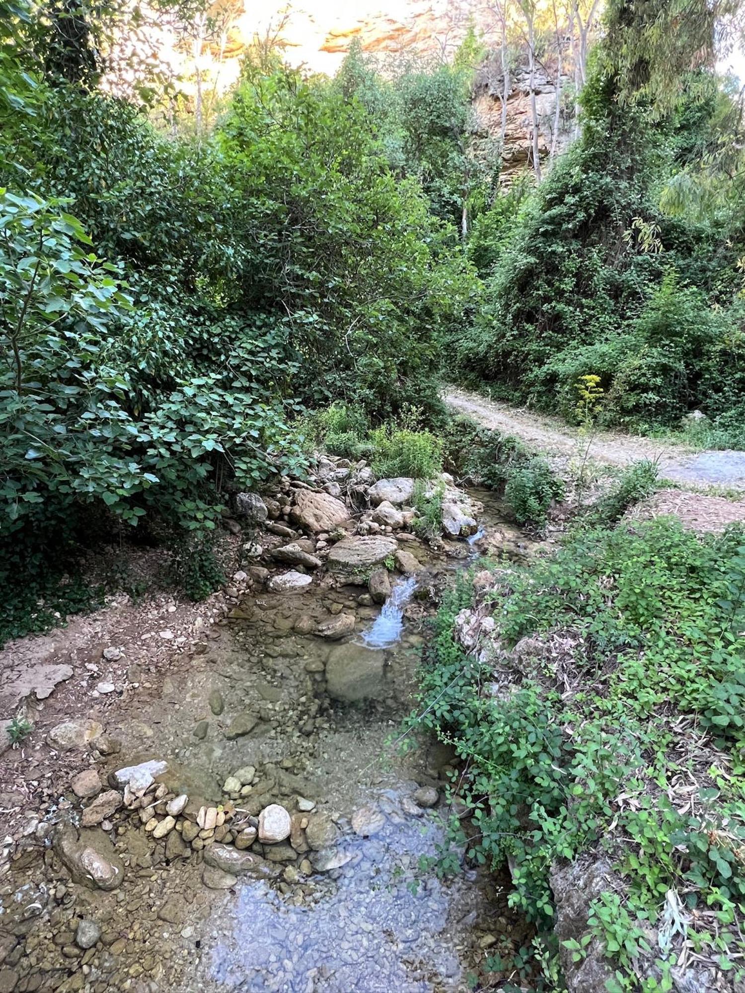 Villa Ignacia B&B - Naturaleza Entre Ronda Y Setenil Ариате Екстериор снимка